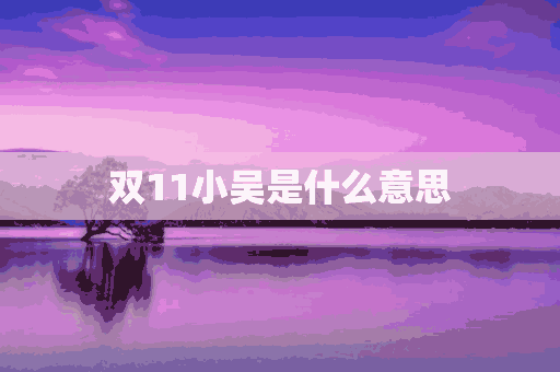 双11小吴是什么意思